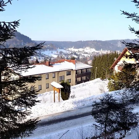 Waldbaude 3*